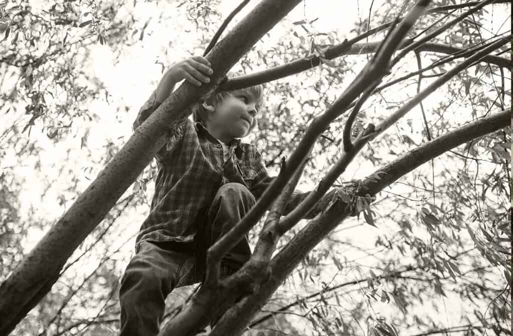 The adventures of climbing a tree, great fun at nine years old